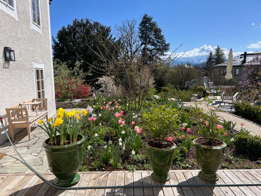 Dieter Mann Garten Brunnhausgasse