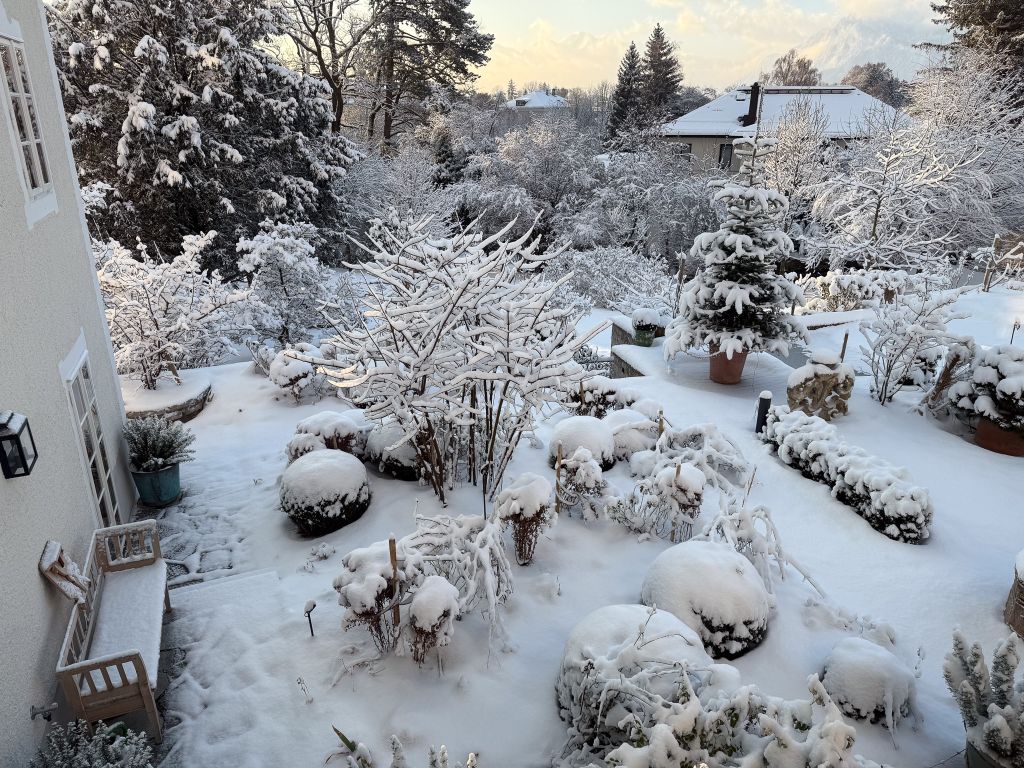 Dieter Mann Garten Brunnhausgasse