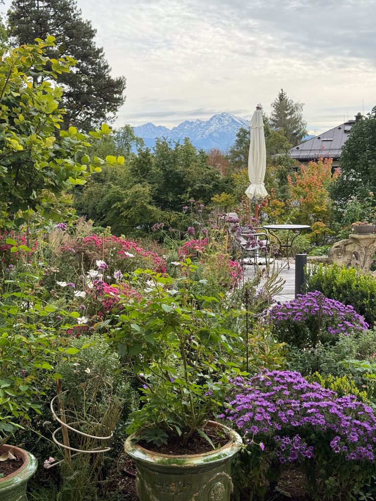Dieter Mann Garten Brunnhausgasse