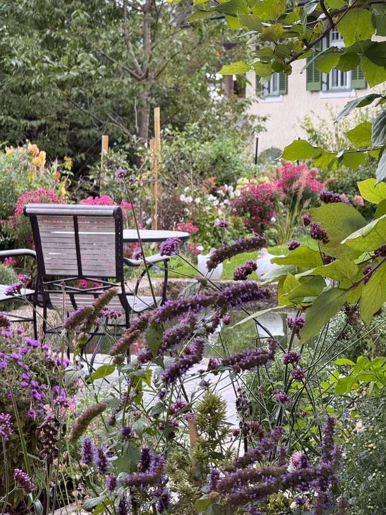 Dieter Mann Garten Brunnhausgasse