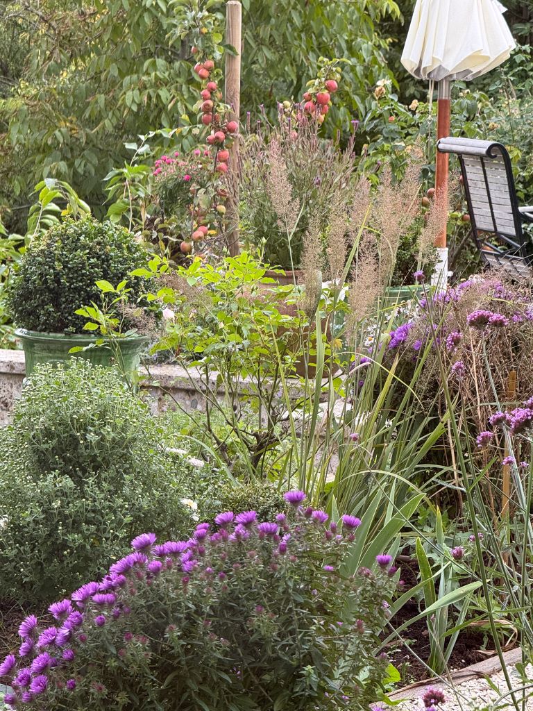 Dieter Mann Garten Brunnhausgasse