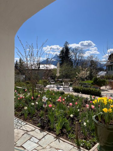 Ira-Schwarz-Dieter-Mann-Garten-Brunnhausgasse-Apr14