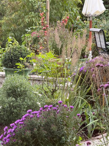 Ira-Schwarz-Dieter-Mann-Garten-Brunnhausgasse-Okt5