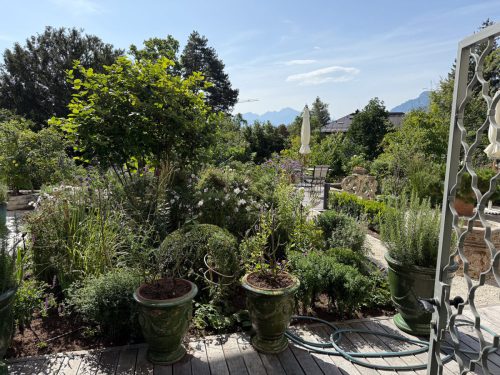 Ira-Schwarz-Dieter-Mann-Garten-Brunnhausgasse-Juli8