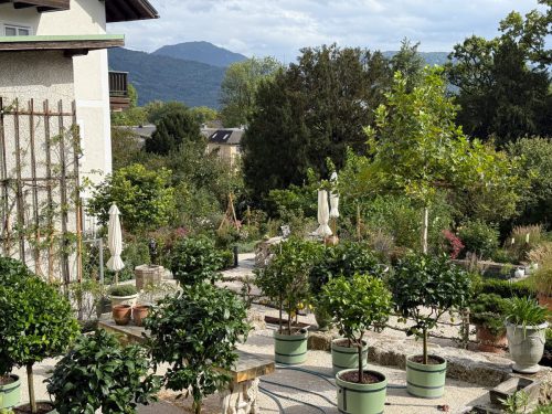 Ira-Schwarz-Dieter-Mann-Garten-Brunnhausgasse-Sept10