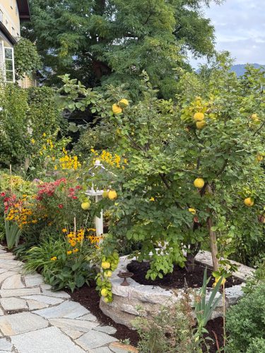 Ira-Schwarz-Dieter-Mann-Garten-Brunnhausgasse-Sept14