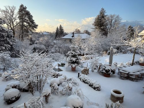 Ira-Schwarz-Dieter-Mann-Garten-Brunnhausgasse-Dez13