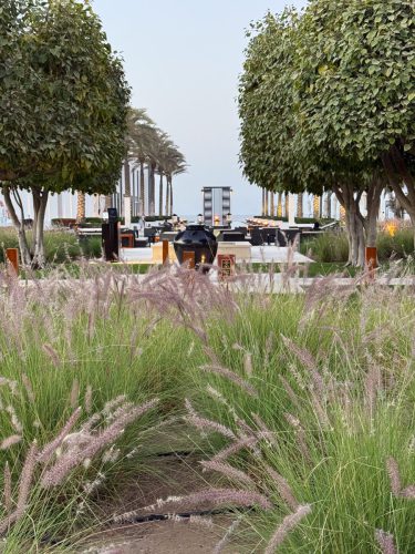 Ira-Schwarz-und-Dieter-Mann-Oman-2026 15